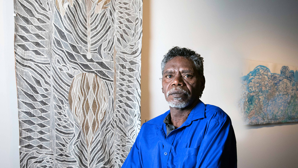 Telstra Bark Painting Award by Napuwarri Marawili