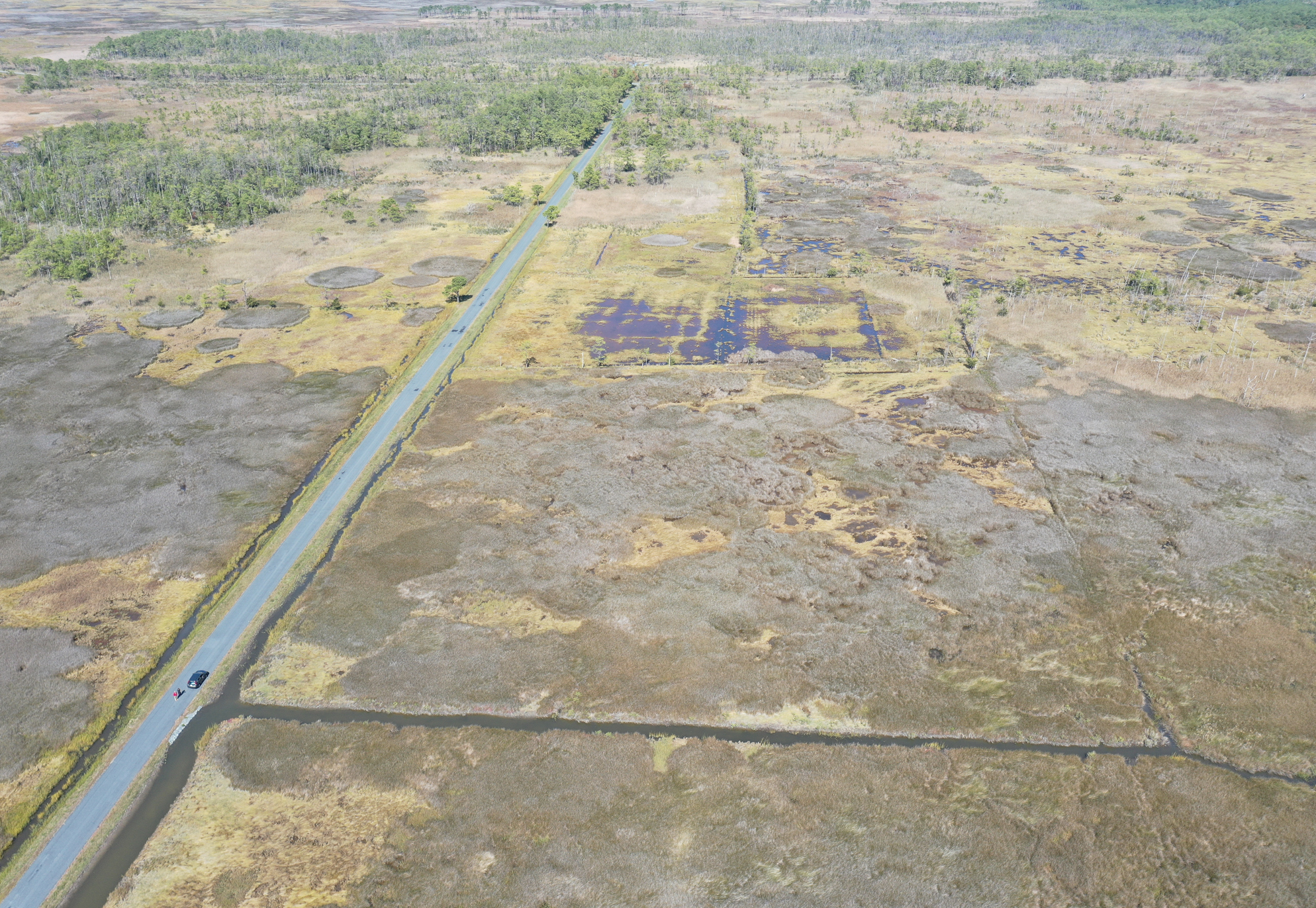 an image of a landscape from an eagle-eye view