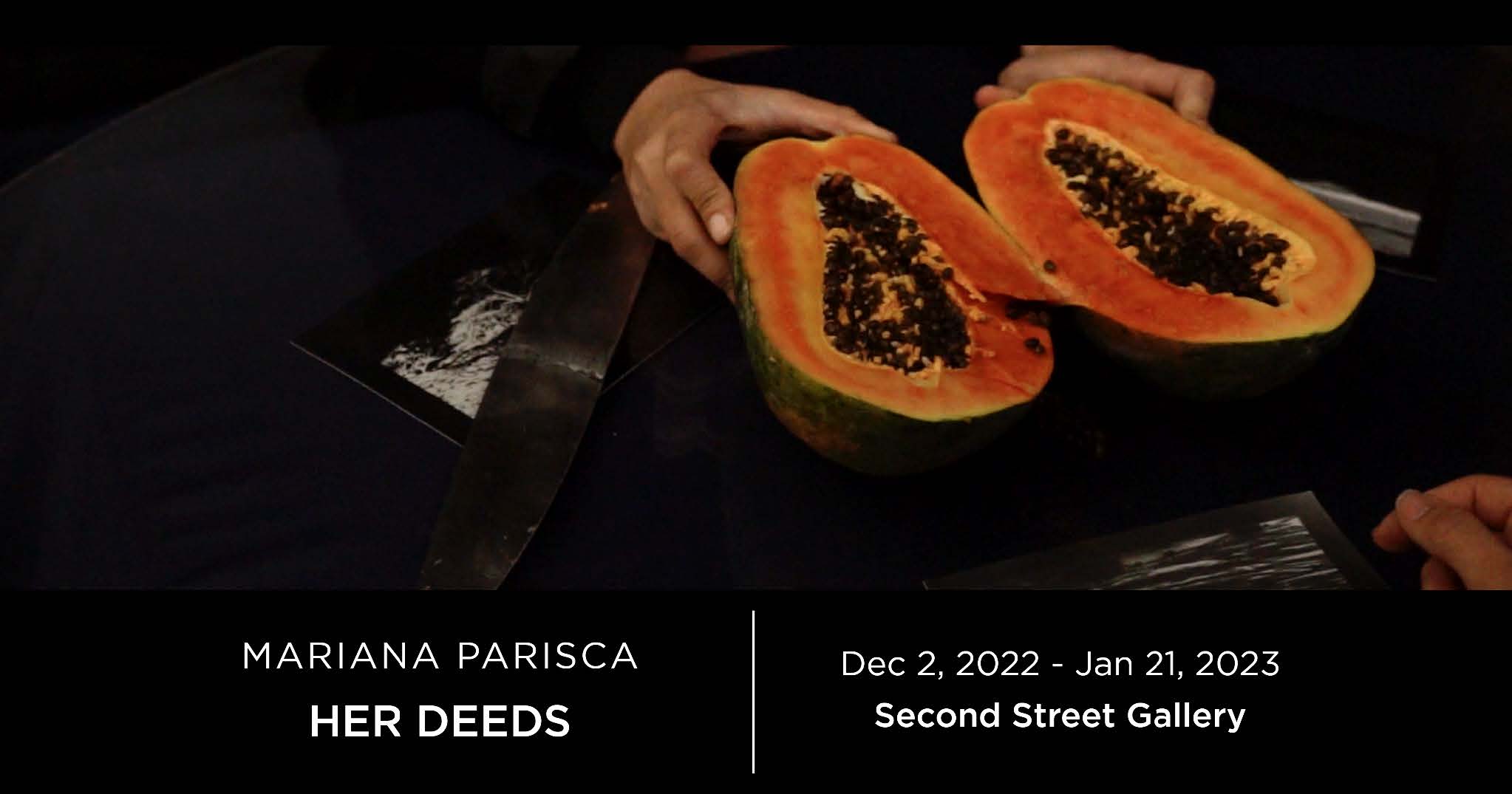 Mariana Parisca and Larí García Sinverguenza (detail), 2022 20 minute video 