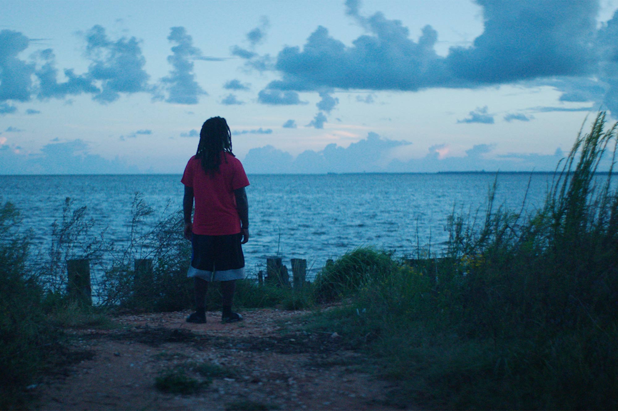 An image of someone looking out over the water, from the movie Descendant