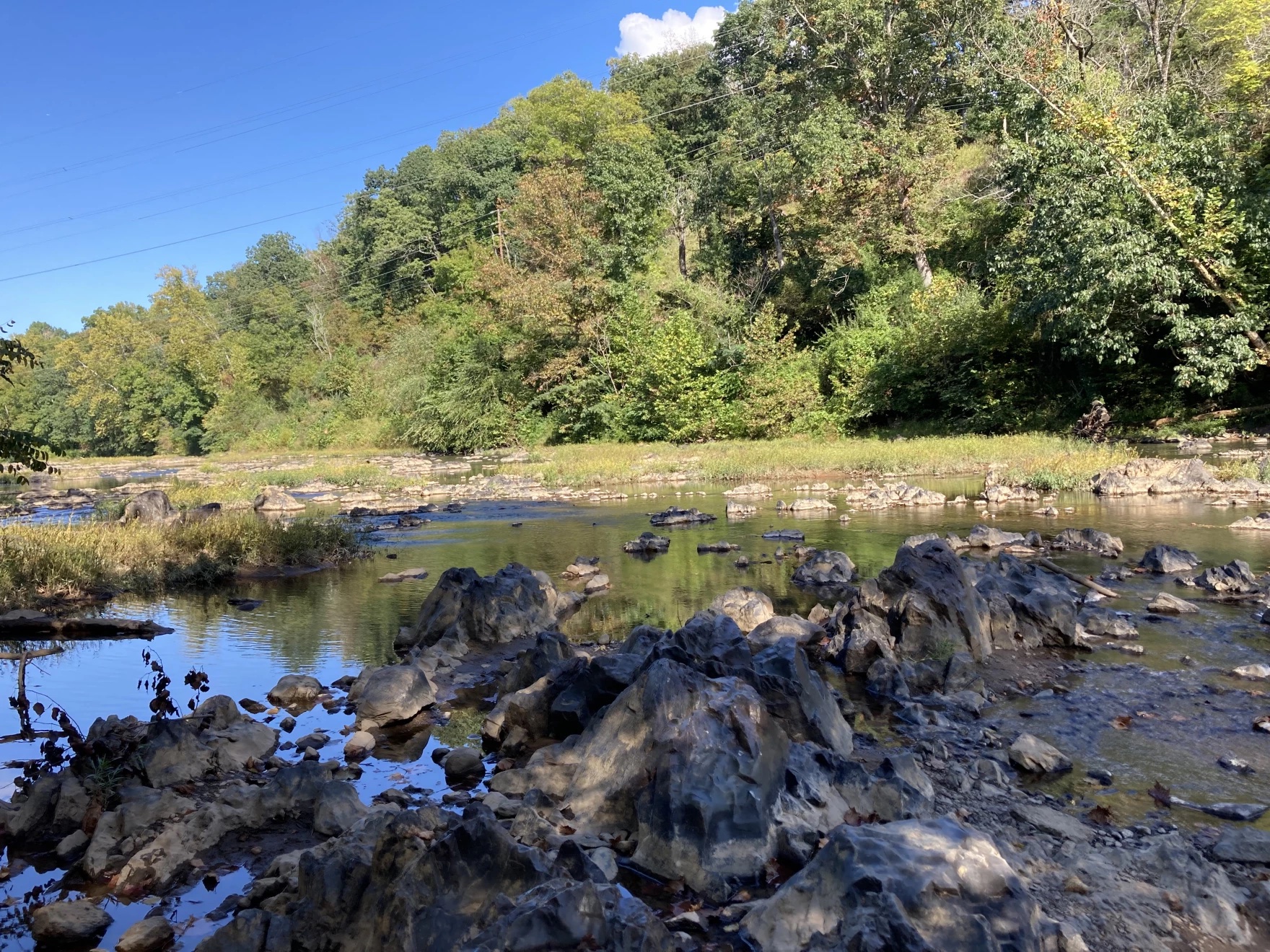 A shallow river bank on a sunny day.