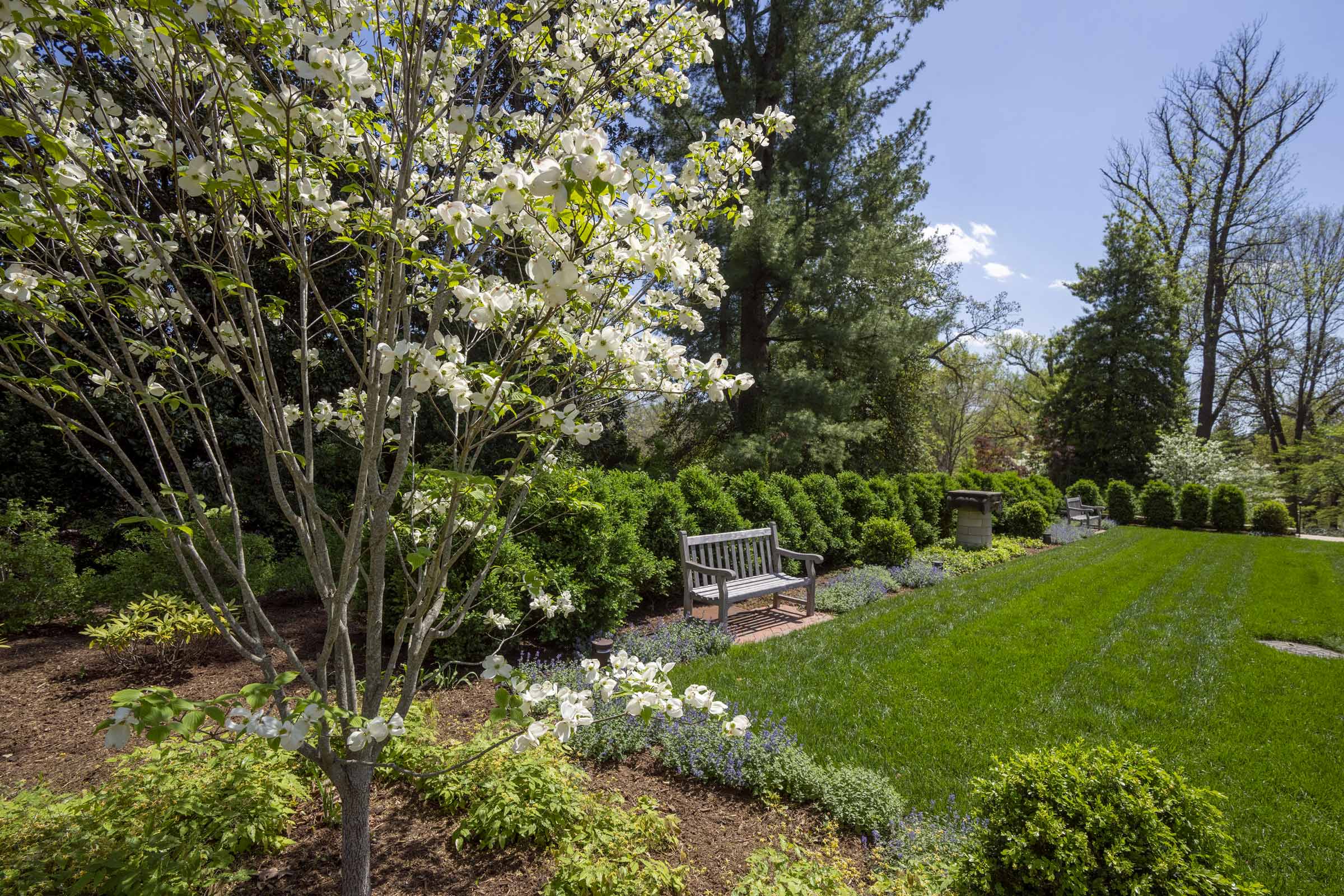 A park bench sits next to a grassy spot in the Carr's Hill garden.