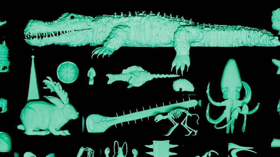 Dion's Taxonomy of Animals