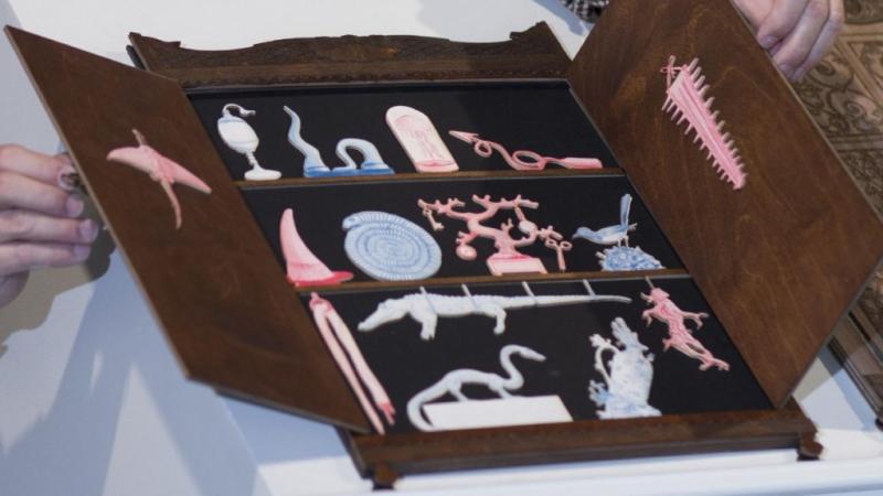 Mark Dion at Ruffin Gallery