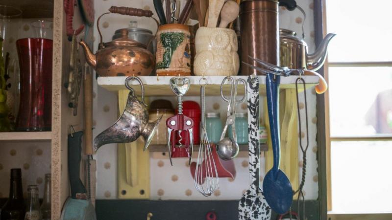 The Virginia Curiosity Shop