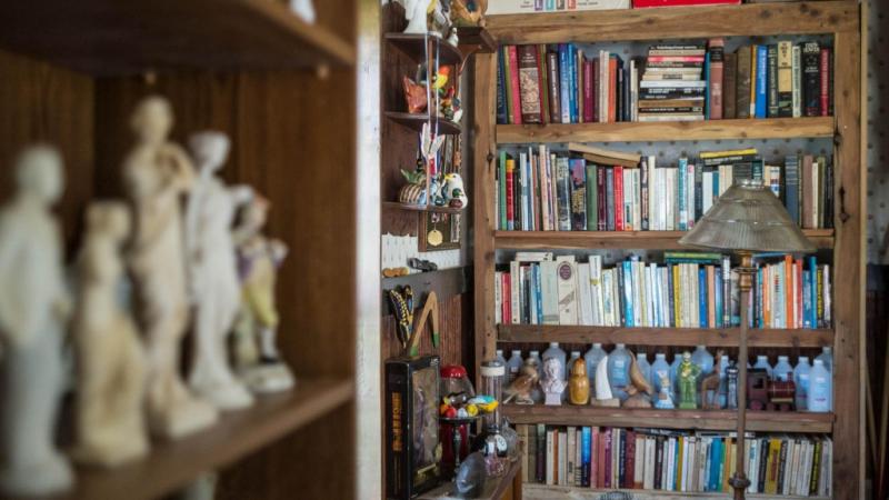 The Virginia Curiosity Shop