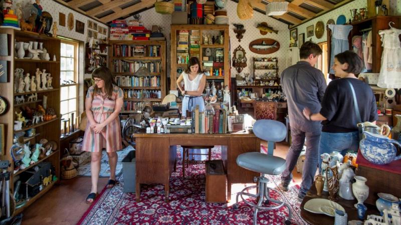 The Virginia Curiosity Shop