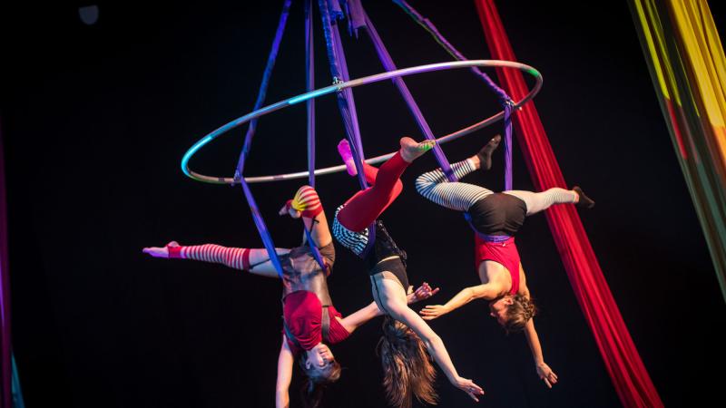 Grounded Circus • Image by Sanjay Suchak