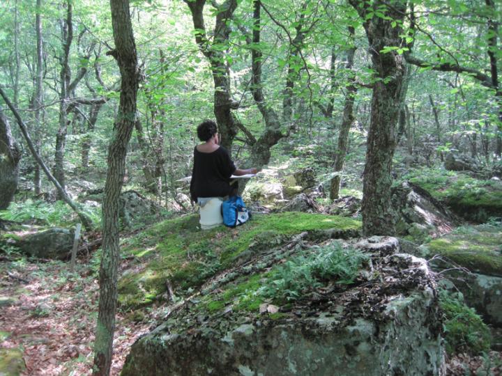 Woman observing and drawing rocks 