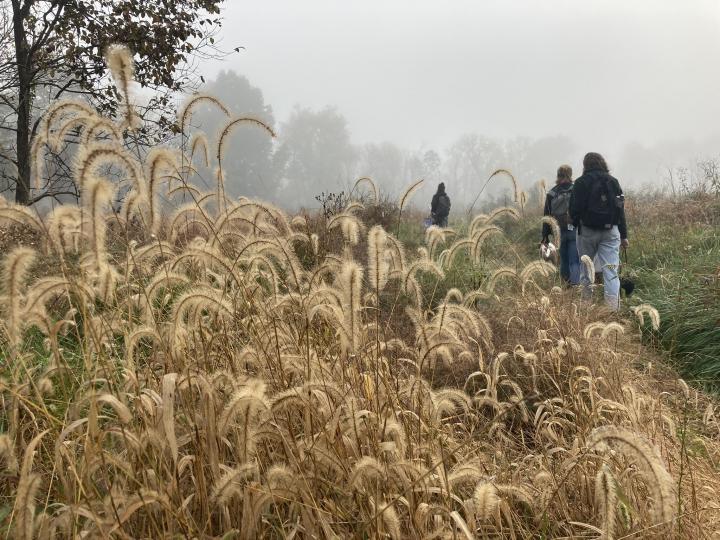 Students Walking in a Field