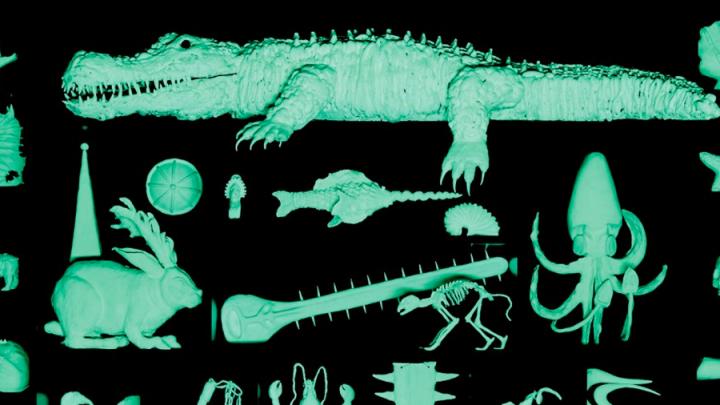 Dion's Taxonomy of Animals